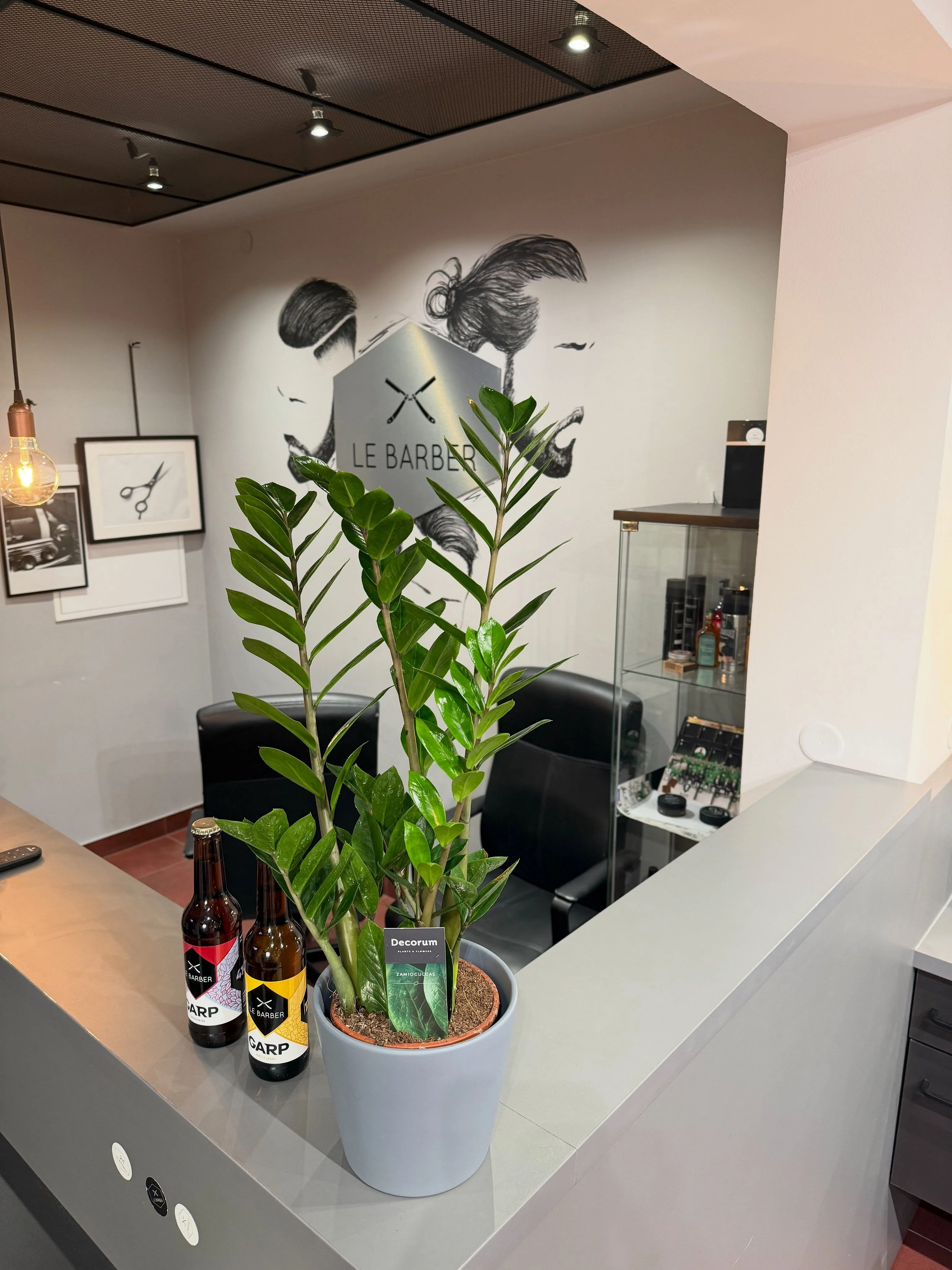 lebarbercz